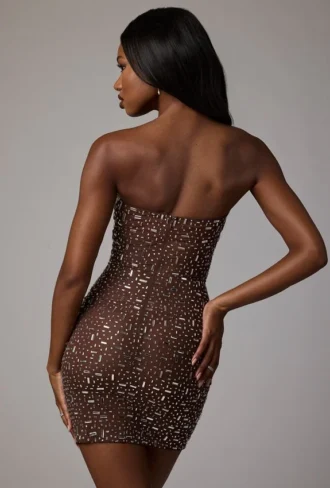 Caprice gjennomsiktig, pyntet bodycon-minikjole i Deep Cocoa