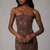 Caprice gjennomsiktig, pyntet bodycon-minikjole i Deep Cocoa
