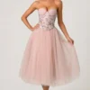 Cindy Tulle Corset Midaxi-kjole i Dusty Rose